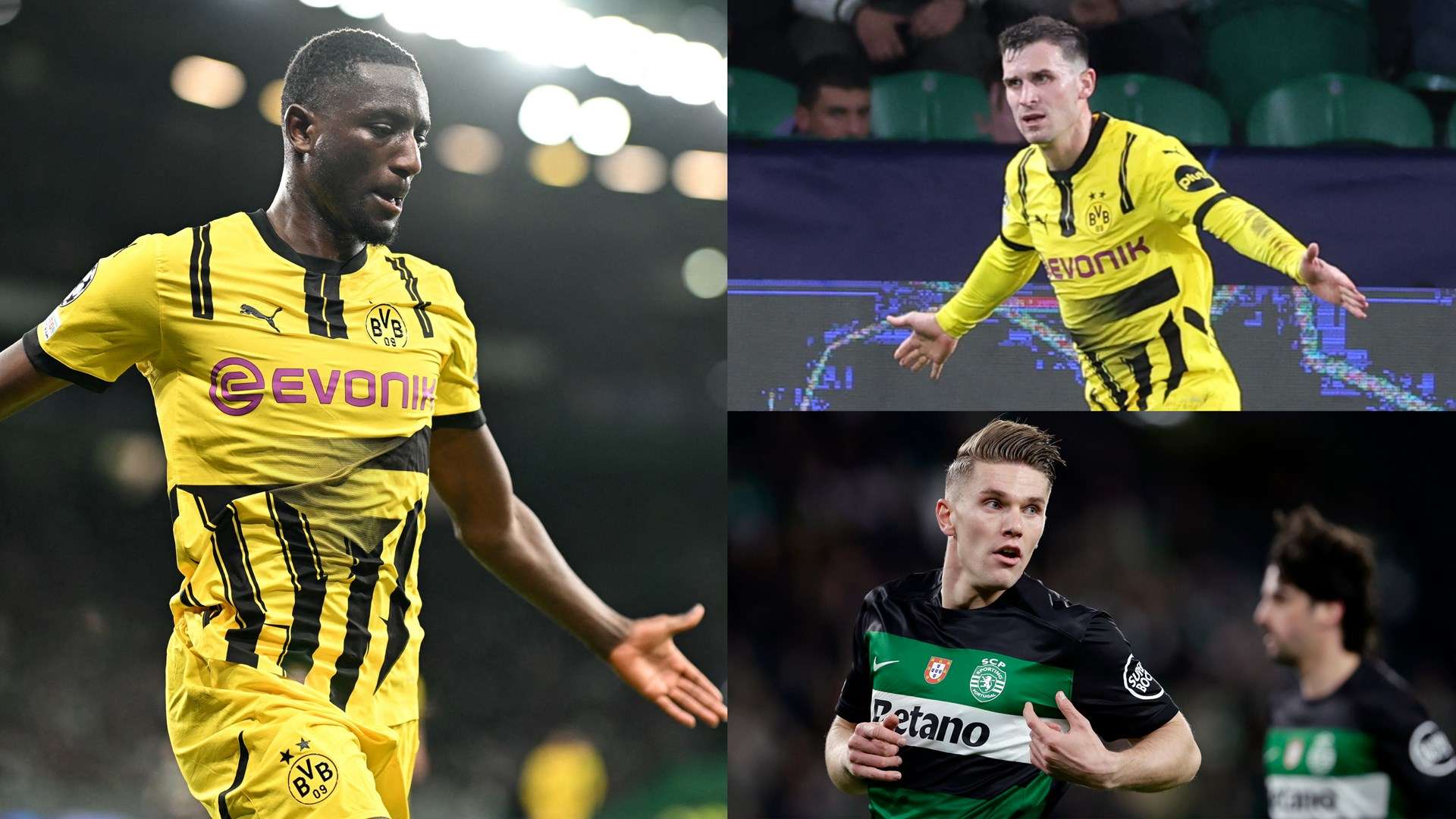 队的首次亮 队的首次亮